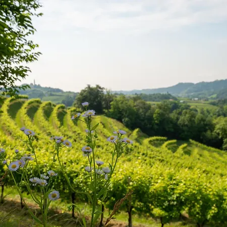 Tenuta Castagnera Villa Tarzo