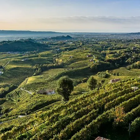 Tenuta Castagnera Tarzo