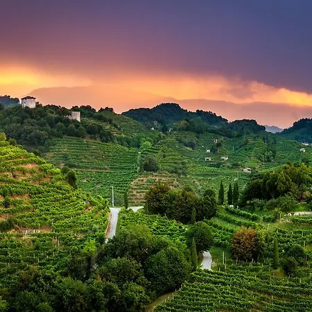 ヴィラ Tenuta Castagnera *