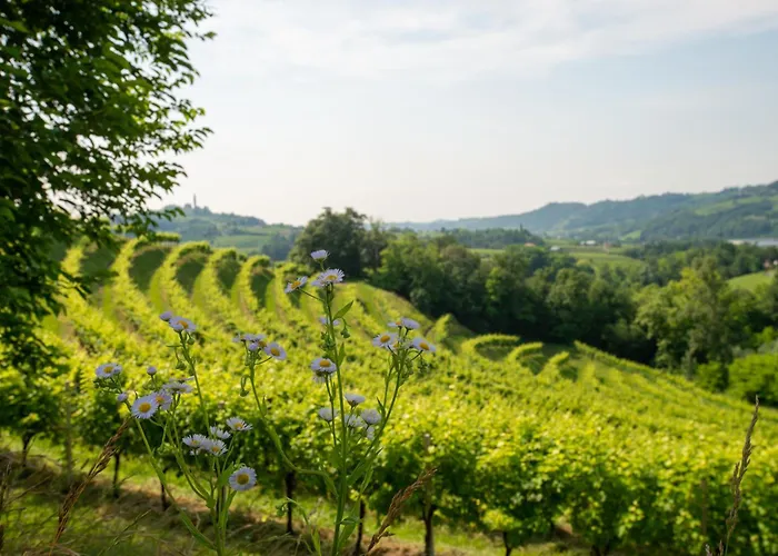 Tenuta Castagnera Villa Tarzo