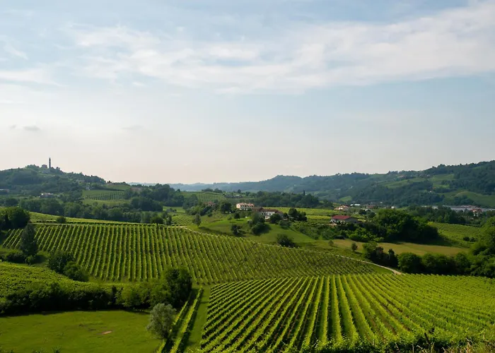 Tenuta Castagnera *