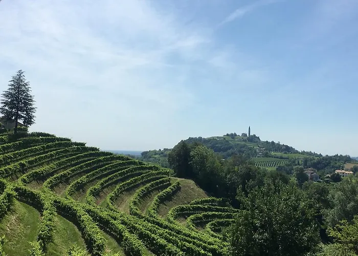 Villa Tenuta Castagnera